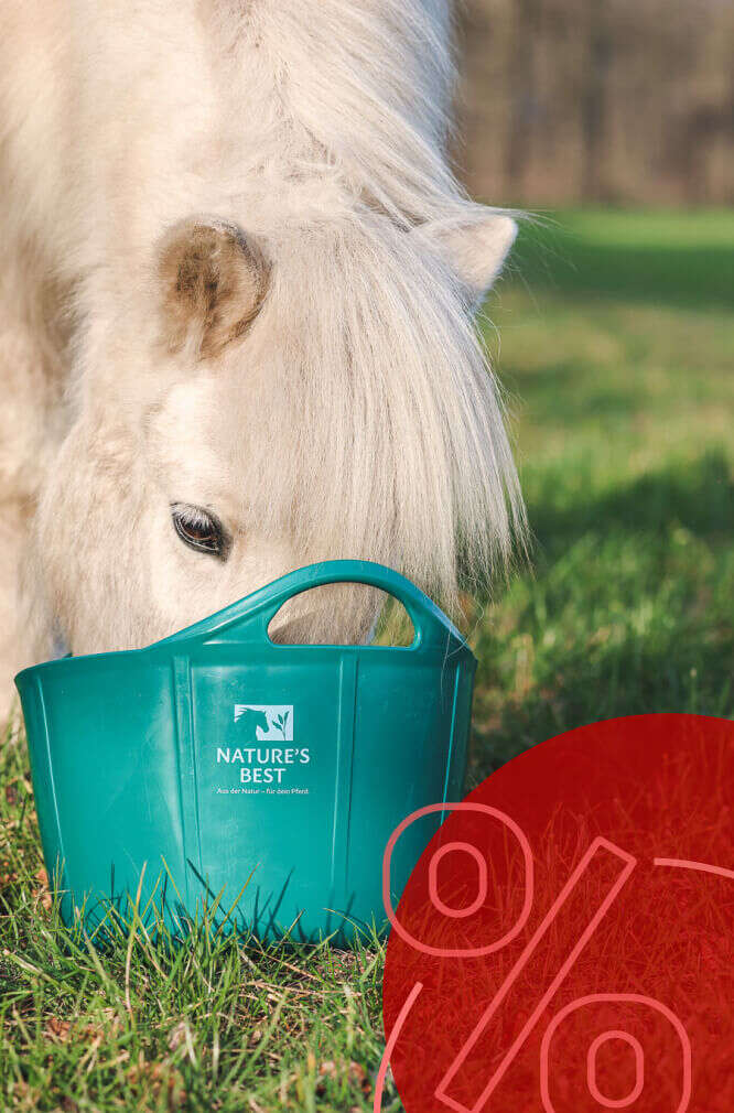 naturesbest pferd frisst pferdefutter